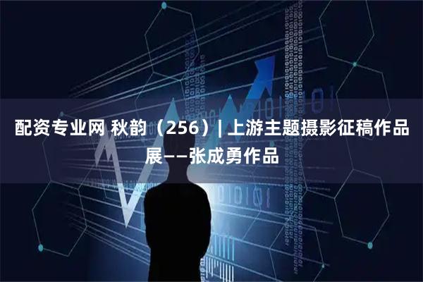 配资专业网 秋韵（256）| 上游主题摄影征稿作品展——张成勇作品