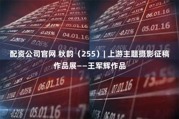 配资公司官网 秋韵（255）| 上游主题摄影征稿作品展——王军辉作品