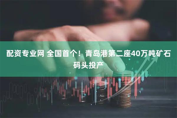配资专业网 全国首个！青岛港第二座40万吨矿石码头投产