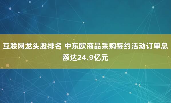 互联网龙头股排名 中东欧商品采购签约活动订单总额达24.9亿元