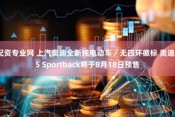 配资专业网 上汽奥迪全新纯电动车／无四环徽标 奥迪E5 Sportback将于8月18日预售
