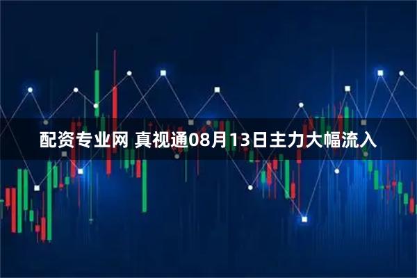 配资专业网 真视通08月13日主力大幅流入