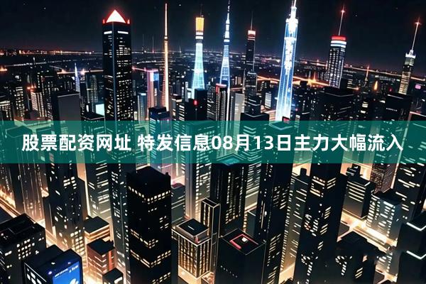 股票配资网址 特发信息08月13日主力大幅流入